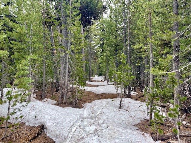 Cinder Hill